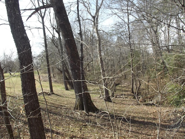 0 Keith Brewer Rd, Palmer, TN 37365