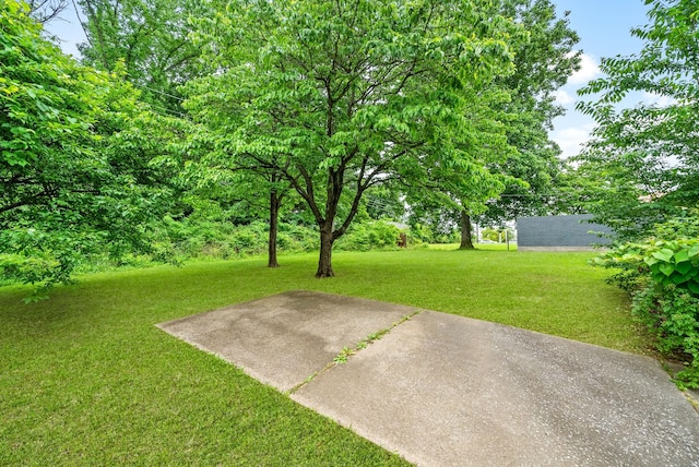 503 Aurelia Lynn Dr, Clarksville, TN 37042 - photo 24