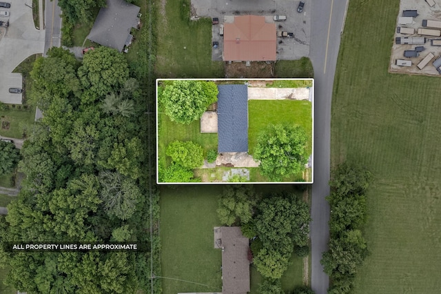 503 Aurelia Lynn Dr, Clarksville, TN 37042 - photo 25