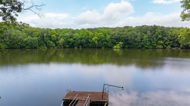 554 Hickman Shores Rd, Dover, TN 37058 - dock area featuring a wooded view and a water view