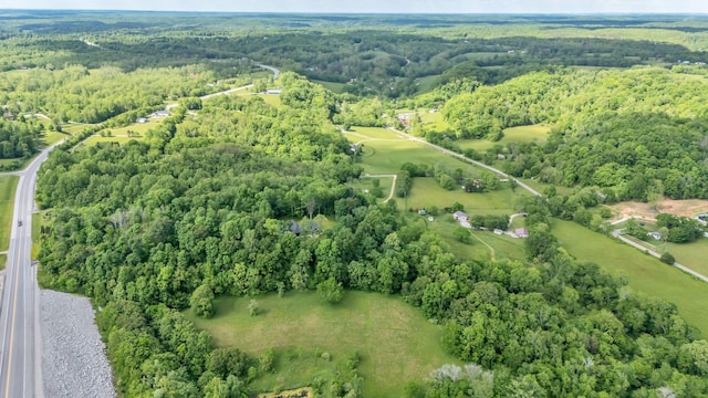 3 New Highway 7, Santa Fe, TN 38482
