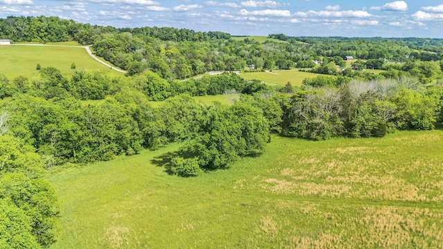 3 New Highway 7, Santa Fe, TN 38482