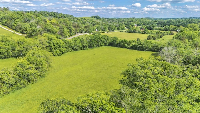 3 New Highway 7, Santa Fe, TN 38482