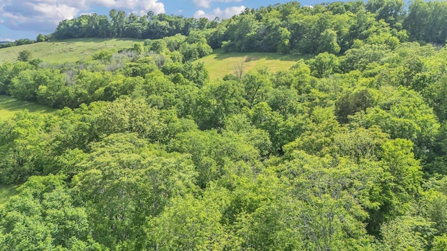3 New Highway 7, Santa Fe, TN 38482