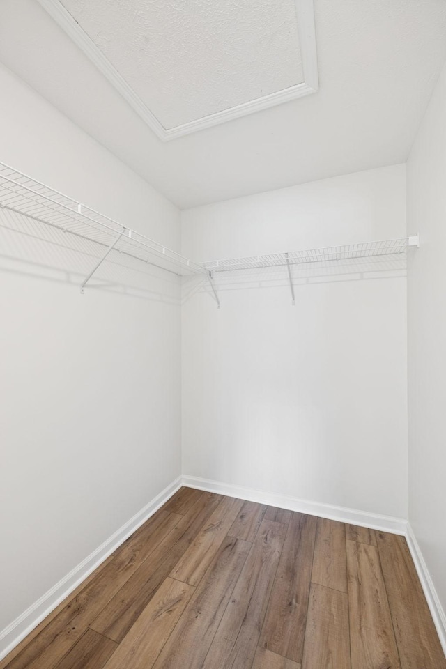 310 Lexie Dr, Lewisburg, TN 37091 - photo 24