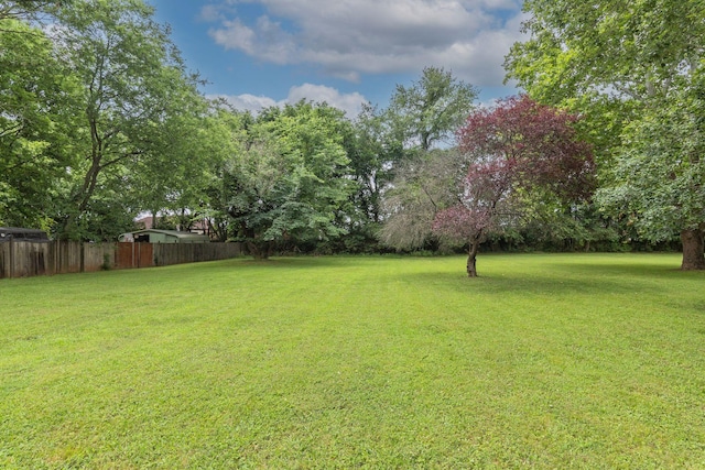 163 Rebel Rd, Smyrna, TN 37167 - photo 30