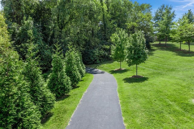 318 Finnhorse Ln, Franklin, TN 37064 - view of property's community featuring a yard