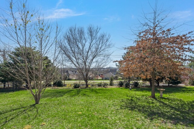 318 Finnhorse Ln, Franklin, TN 37064 - view of yard
