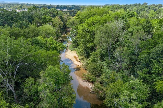 318 Finnhorse Ln, Franklin, TN 37064 - aerial view of a forest