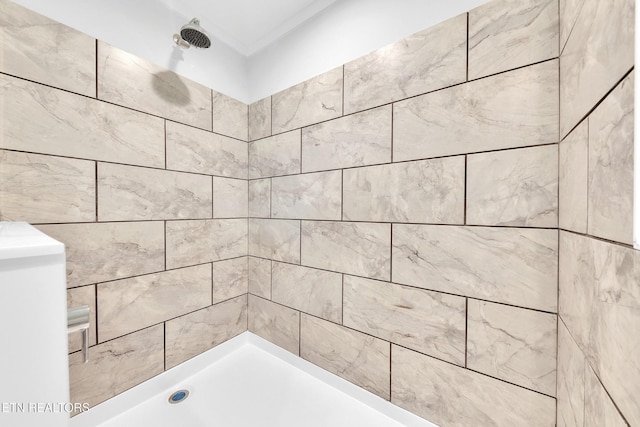 1559 River Path, Morristown, TN 37813 - bathroom with tiled shower