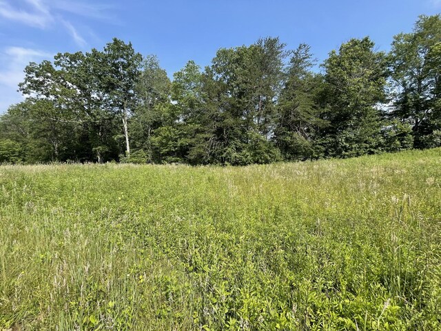 4750 Thomas And Smith Rd, Pikeville, TN 37367 - photo 15