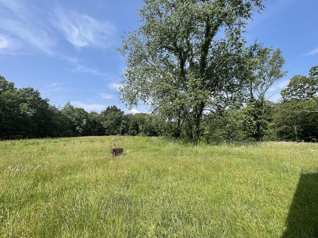 4750 Thomas And Smith Rd, Pikeville, TN 37367 - photo 11