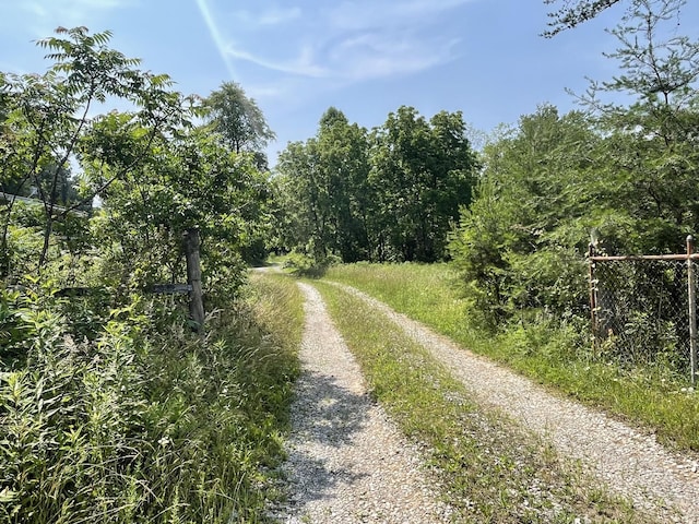 4750 Thomas And Smith Rd, Pikeville, TN 37367 - photo 19