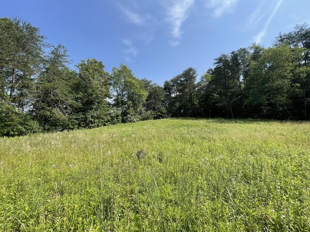 4750 Thomas And Smith Rd, Pikeville, TN 37367 - photo 12