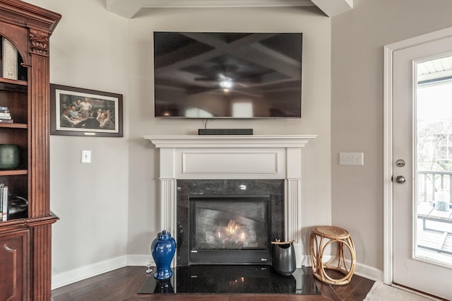 2044 Albatross Way, Gallatin, TN 37066 - detailed view of a high end fireplace and wood finished floors