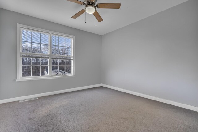 261 Audrea Ln, Clarksville, TN 37042 - photo 12