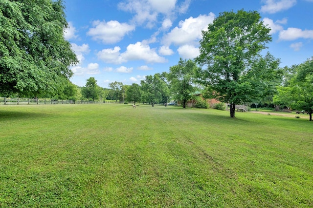 1010 Scott Rd, Bethpage, TN 37022 - view of yard