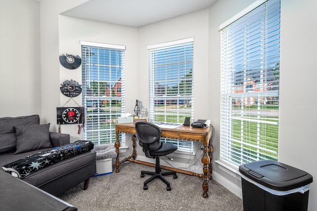 3134 Friars Bridge Pass, Franklin, TN 37064 - home office with carpet floors and plenty of natural light