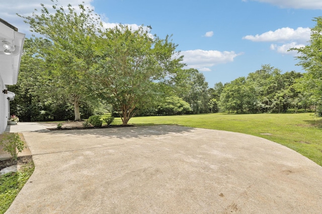 412 Bluegrass Ct, Lebanon, TN 37090 - photo 59