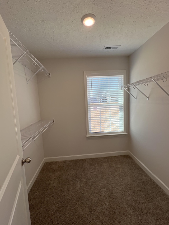 3357 Curie Cir, Christiana, TN 37037 - photo 6