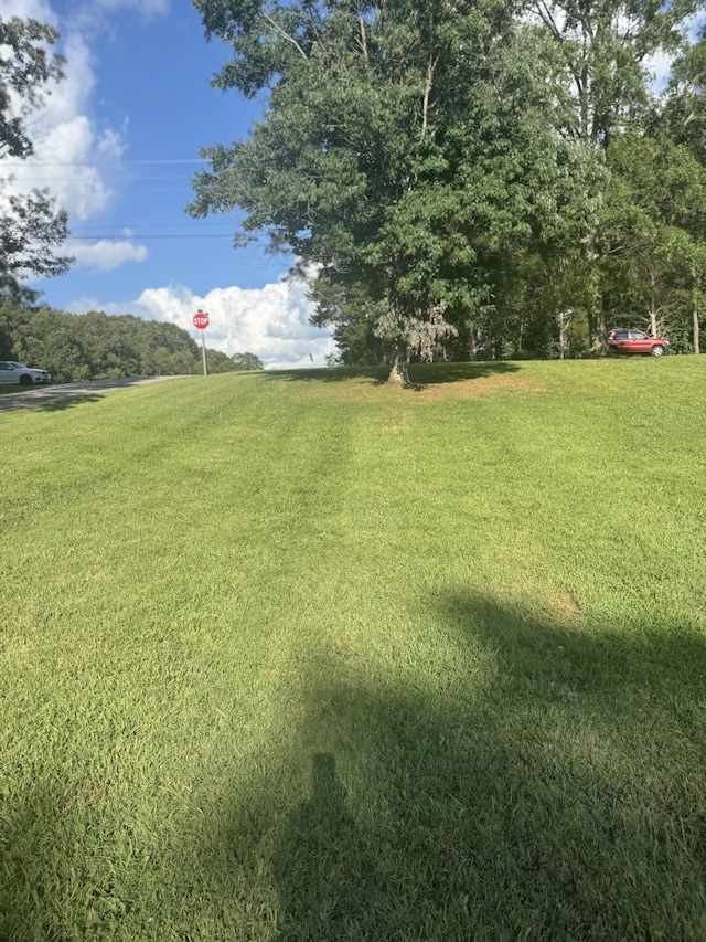 141 Ray Cemetery Rd, Sparta, TN 38583 - photo 13