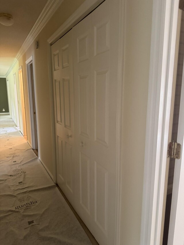 141 Ray Cemetery Rd, Sparta, TN 38583 - photo 22