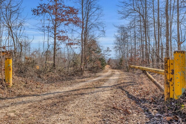 262 Deer Haven Rd, Indian Mound, TN 37079