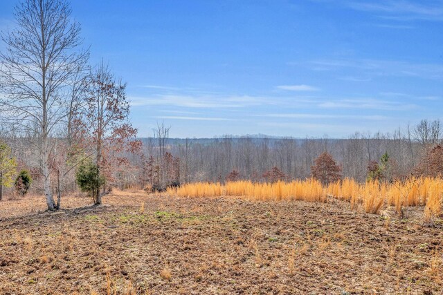 262 Deer Haven Rd, Indian Mound, TN 37079