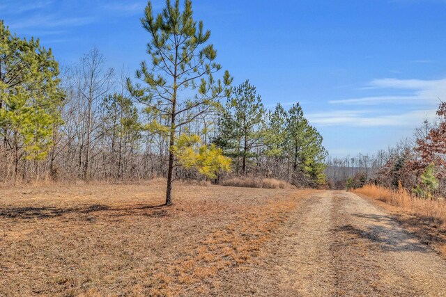 262 Deer Haven Rd, Indian Mound, TN 37079