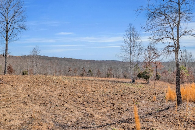 262 Deer Haven Rd, Indian Mound, TN 37079