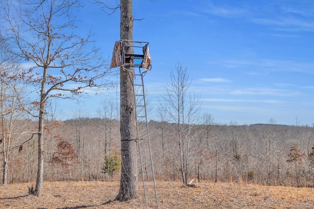 262 Deer Haven Rd, Indian Mound, TN 37079