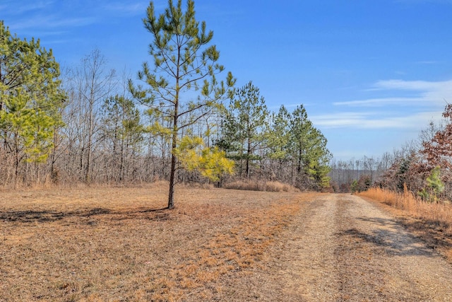 262 Deer Haven Rd, Indian Mound, TN 37079