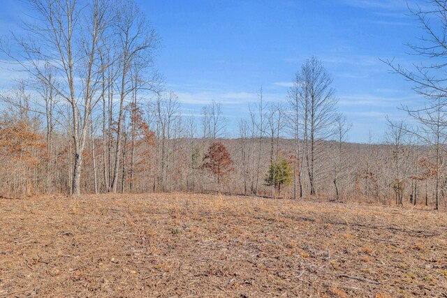 262 Deer Haven Rd, Indian Mound, TN 37079