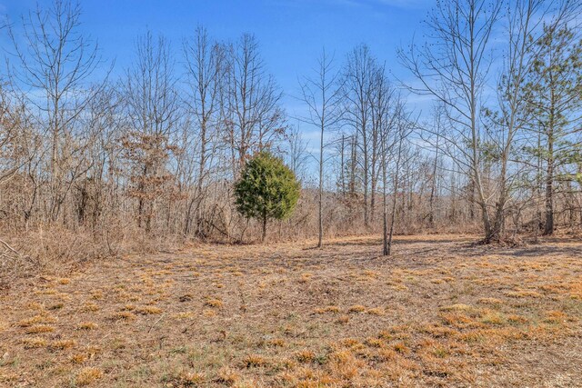 262 Deer Haven Rd, Indian Mound, TN 37079