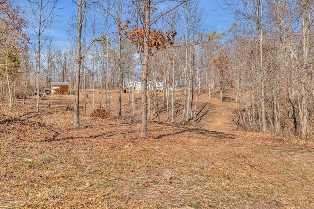 262 Deer Haven Rd, Indian Mound, TN 37079