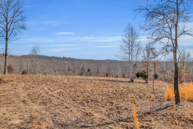 262 Deer Haven Rd, Indian Mound, TN 37079