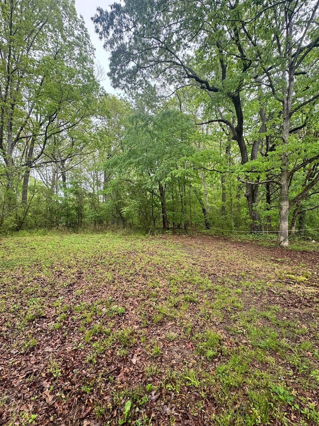 144 Post Oak Ave, Camden, TN 38320 - view of yard with a wooded view