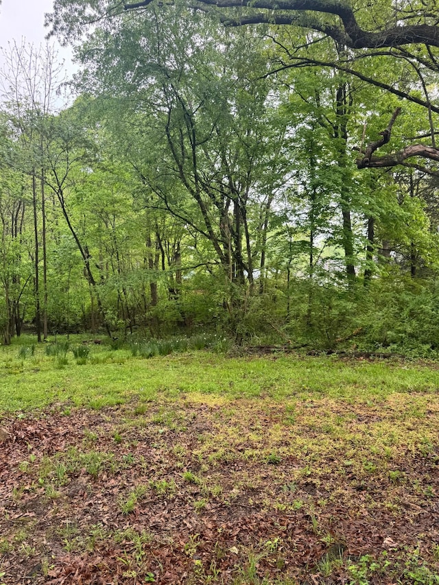 144 Post Oak Ave, Camden, TN 38320 - view of yard with a forest view