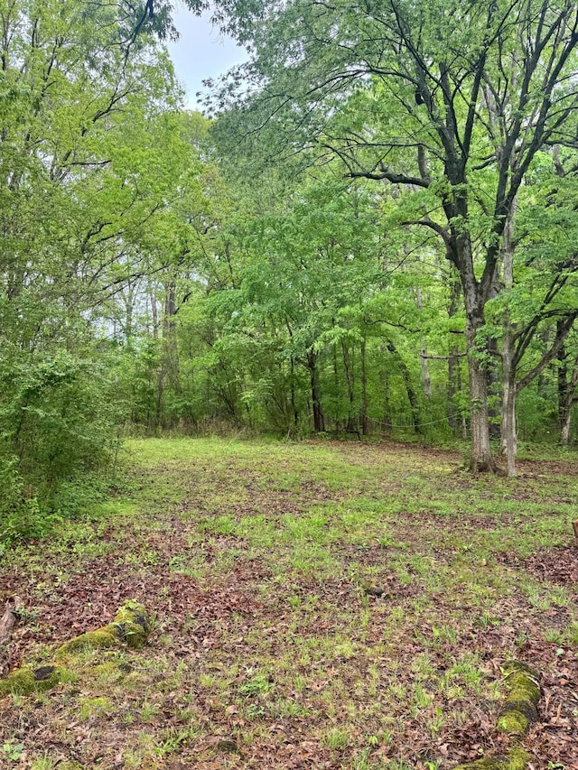 144 Post Oak Ave, Camden, TN 38320 - view of tree filled area