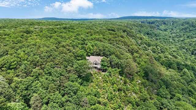 1900 Timberwood Trce, Monteagle, TN 37356 - photo 67