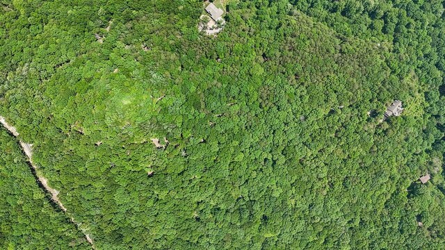 1900 Timberwood Trce, Monteagle, TN 37356 - photo 69