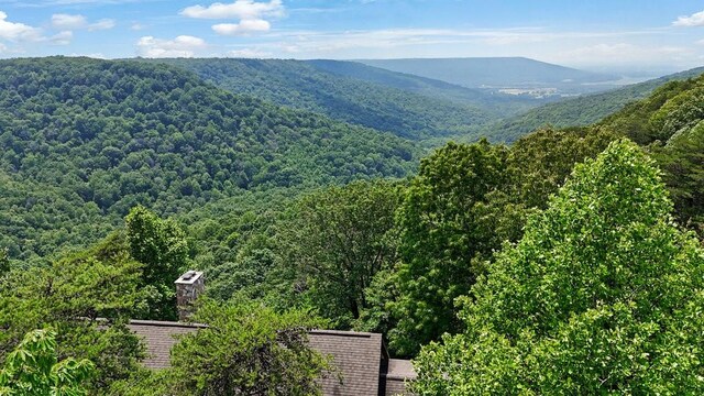 1900 Timberwood Trce, Monteagle, TN 37356 - photo 68