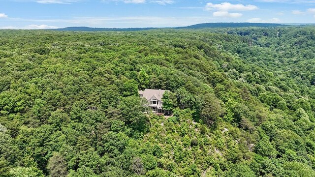 1900 Timberwood Trce, Monteagle, TN 37356 - photo 66
