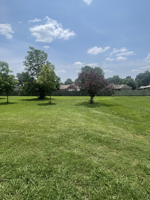 407 Robins St, Lawrenceburg, TN 38464 - view of yard