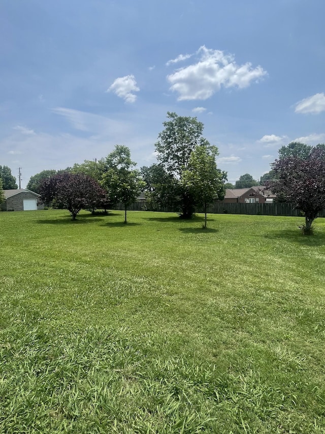 407 Robins St, Lawrenceburg, TN 38464 - view of yard