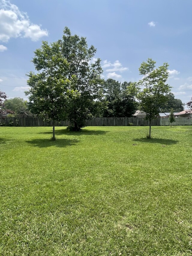407 Robins St, Lawrenceburg, TN 38464 - view of yard