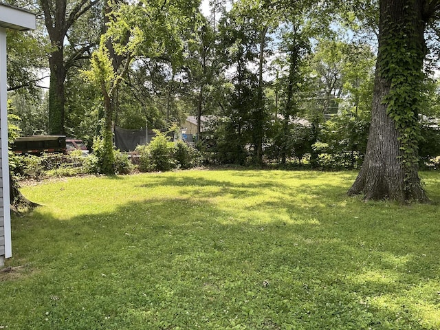 1904 E 31st Street Pl, Chattanooga, TN 37407 - view of green lawn