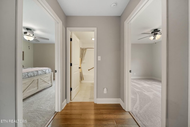 8012 Campbells Point Rd, Corryton, TN 37721 - corridor featuring wood finished floors and carpet floors