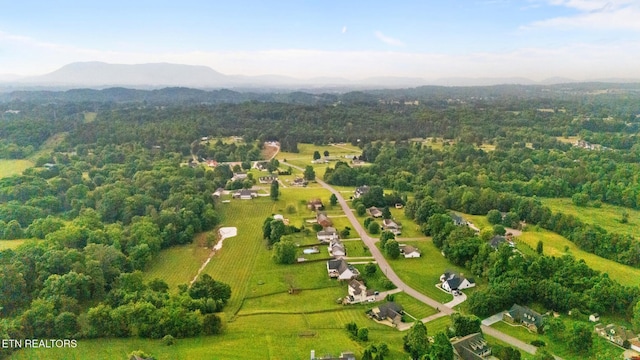 8012 Campbells Point Rd, Corryton, TN 37721 - drone / aerial view of a mountain backdrop and a heavily wooded area