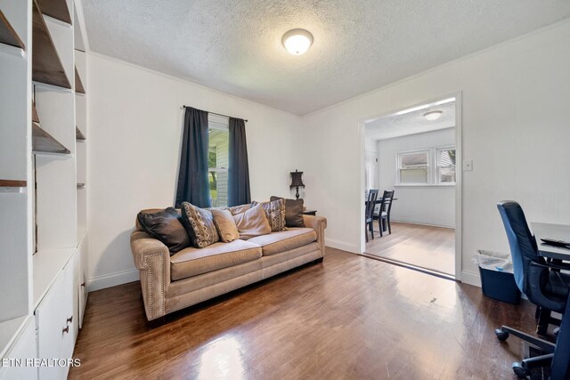 8028 Pelleaux Rd, Knoxville, TN 37938 - photo 15